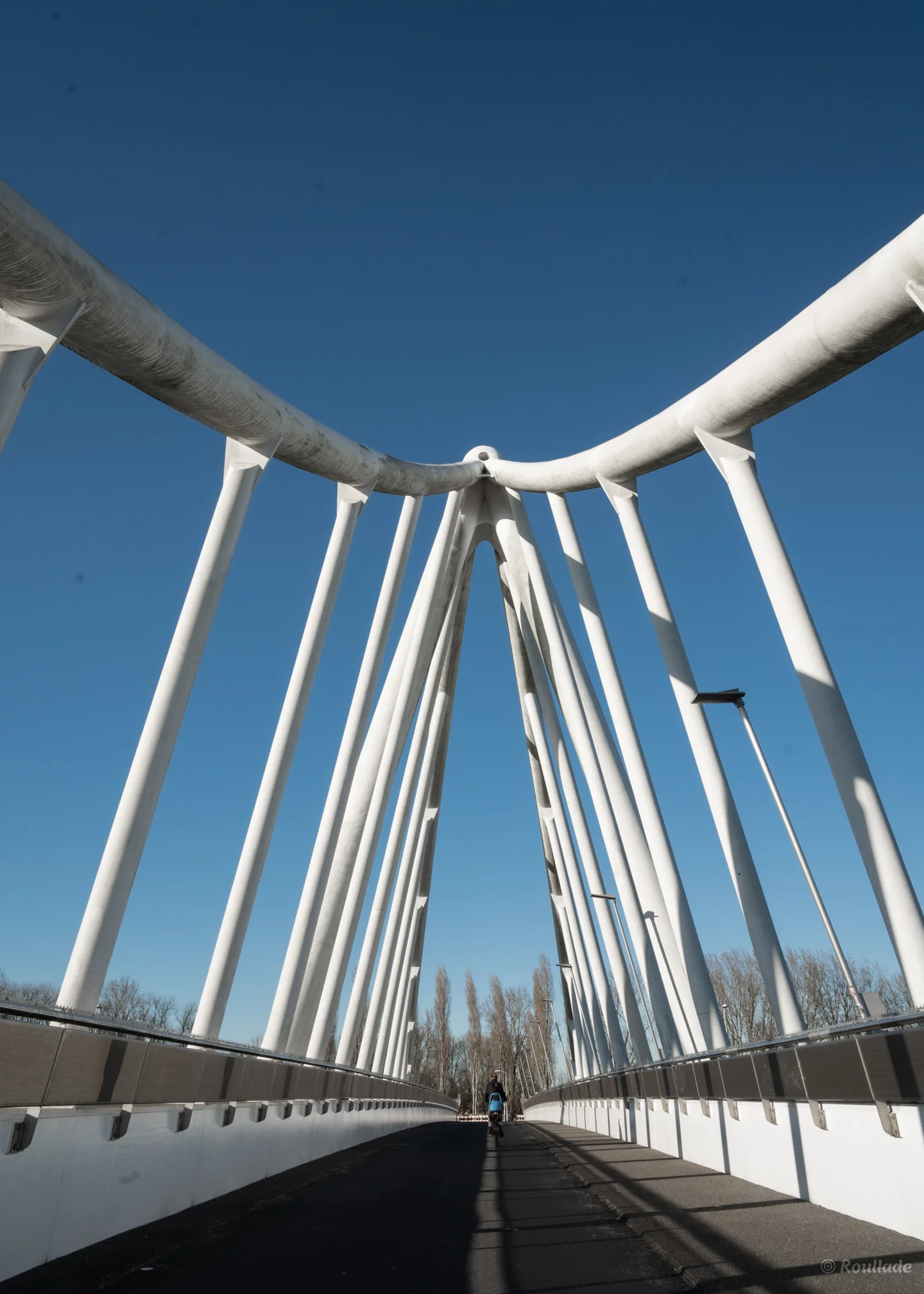 Media De Balijbrug in Zoetermeer