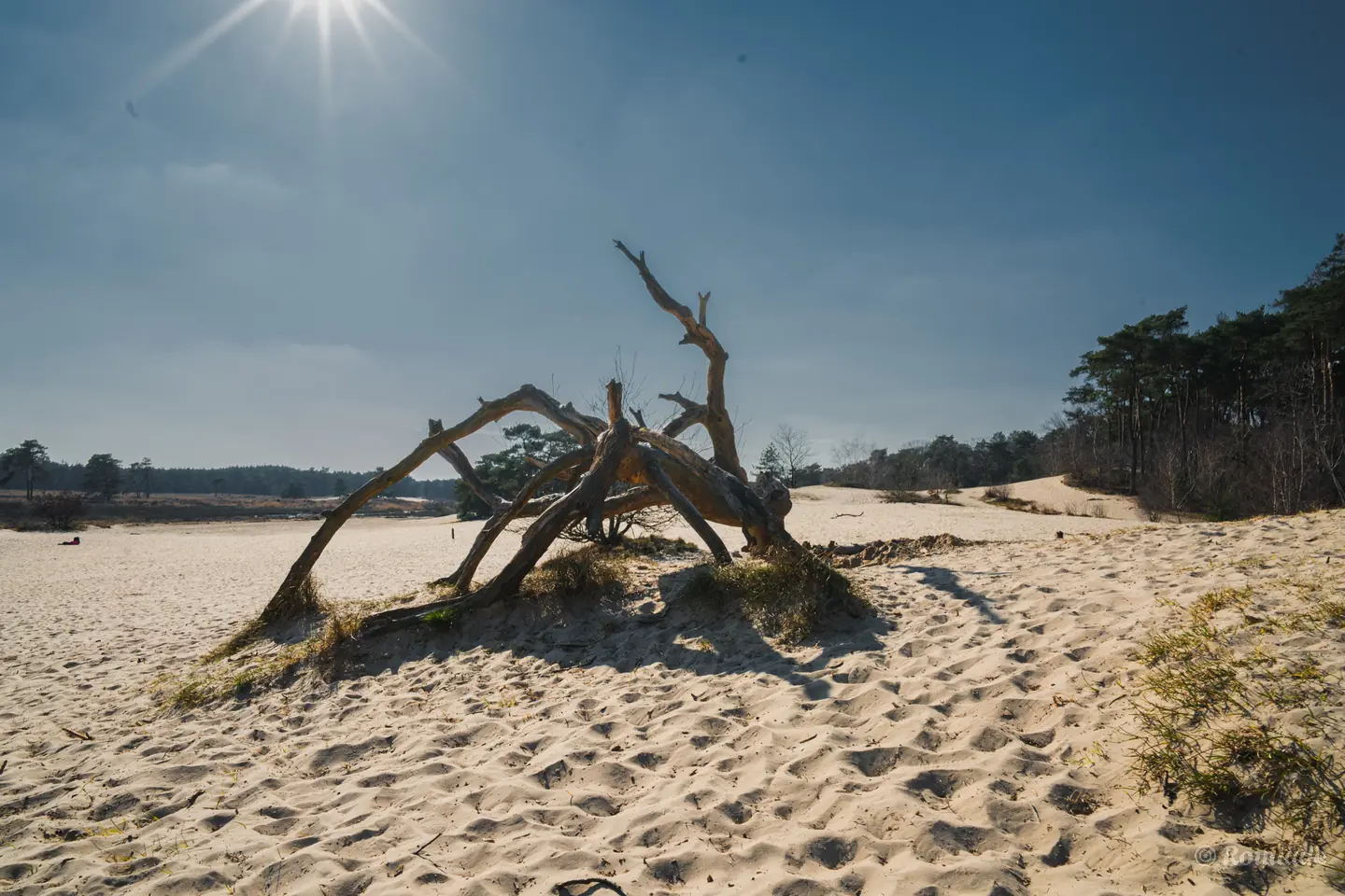 Cover Mega wandelgebied in Drunen