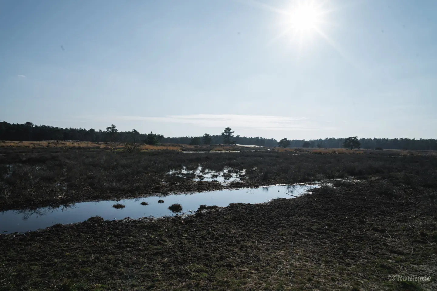 Media Mega wandelgebied in Drunen