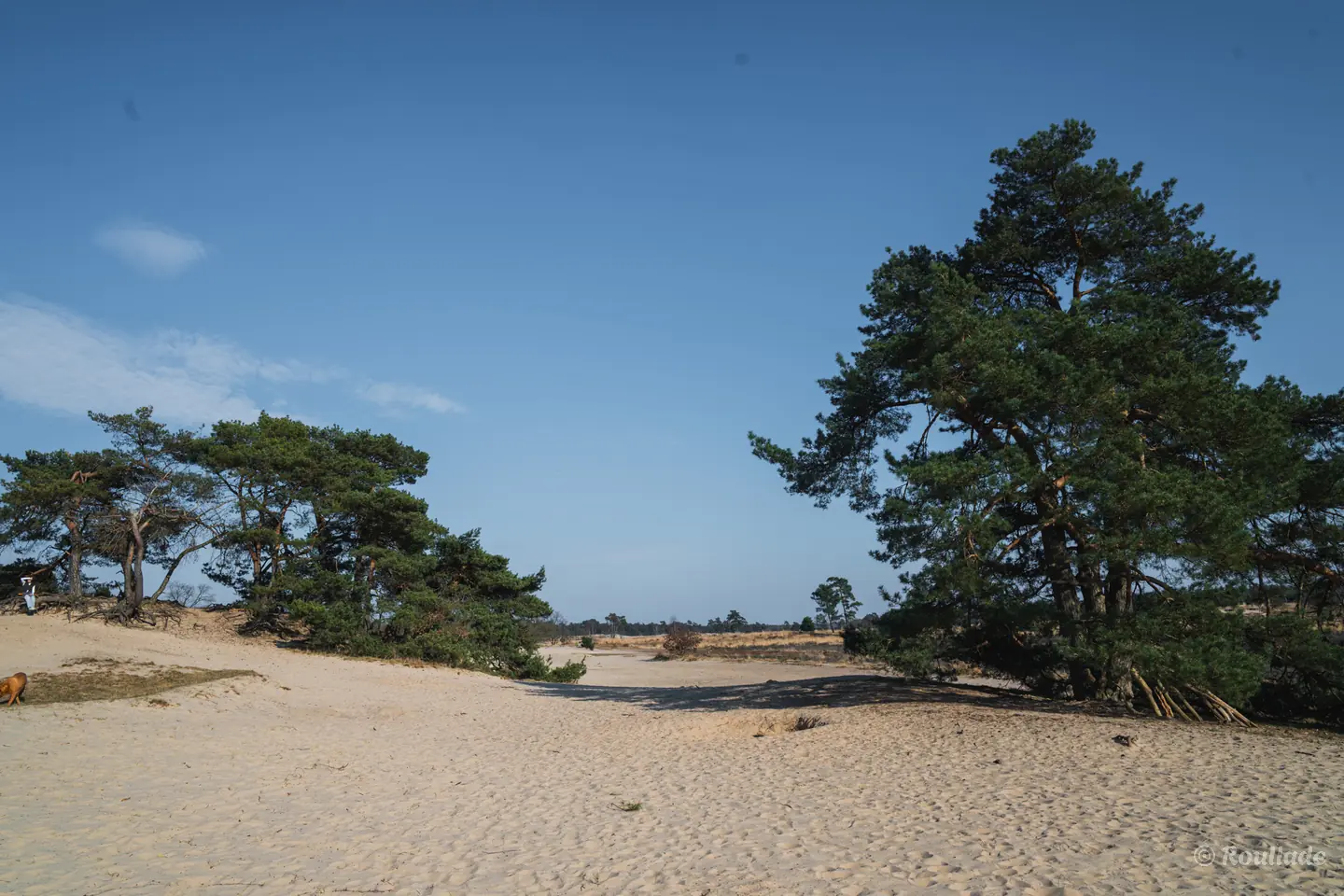 Media Mega wandelgebied in Drunen