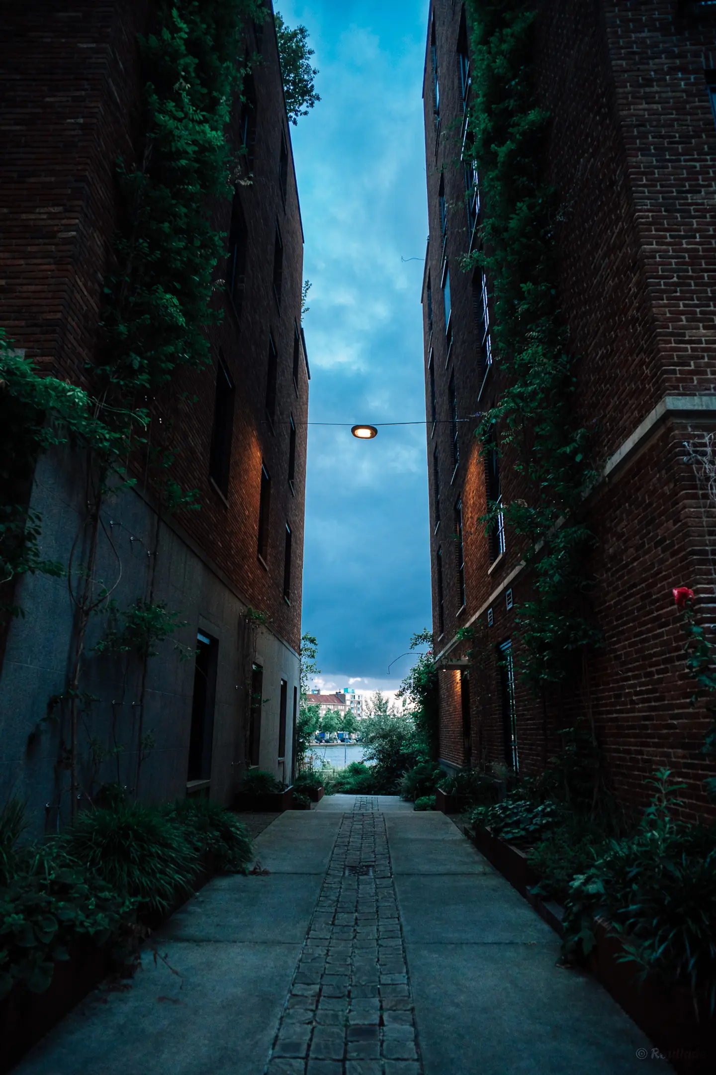 Media Little C in Rotterdam