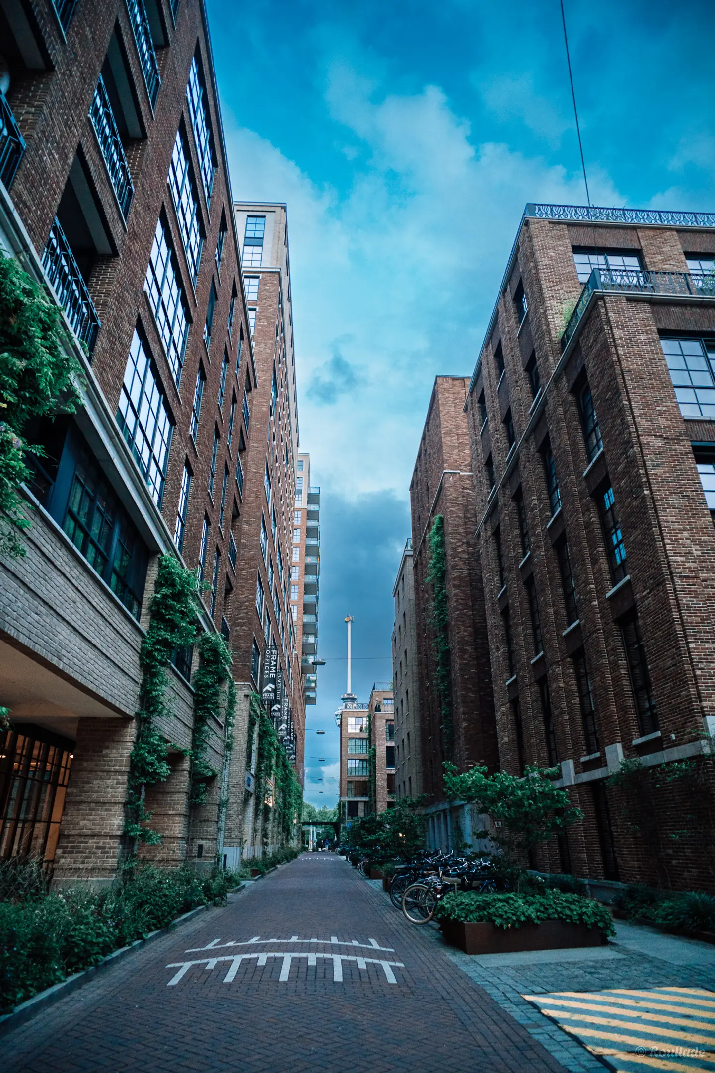 Media Little C in Rotterdam