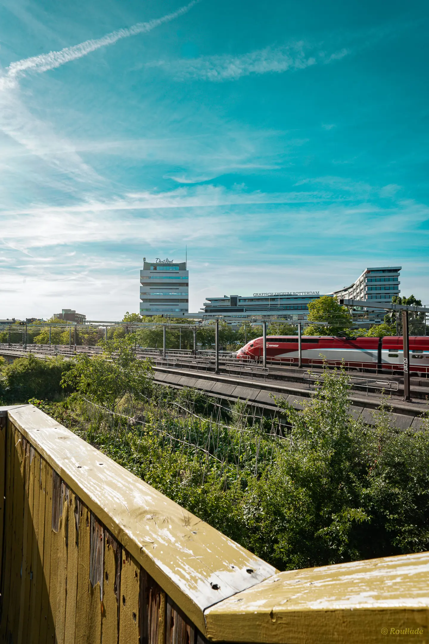 Media Luchtsingel in Rotterdam