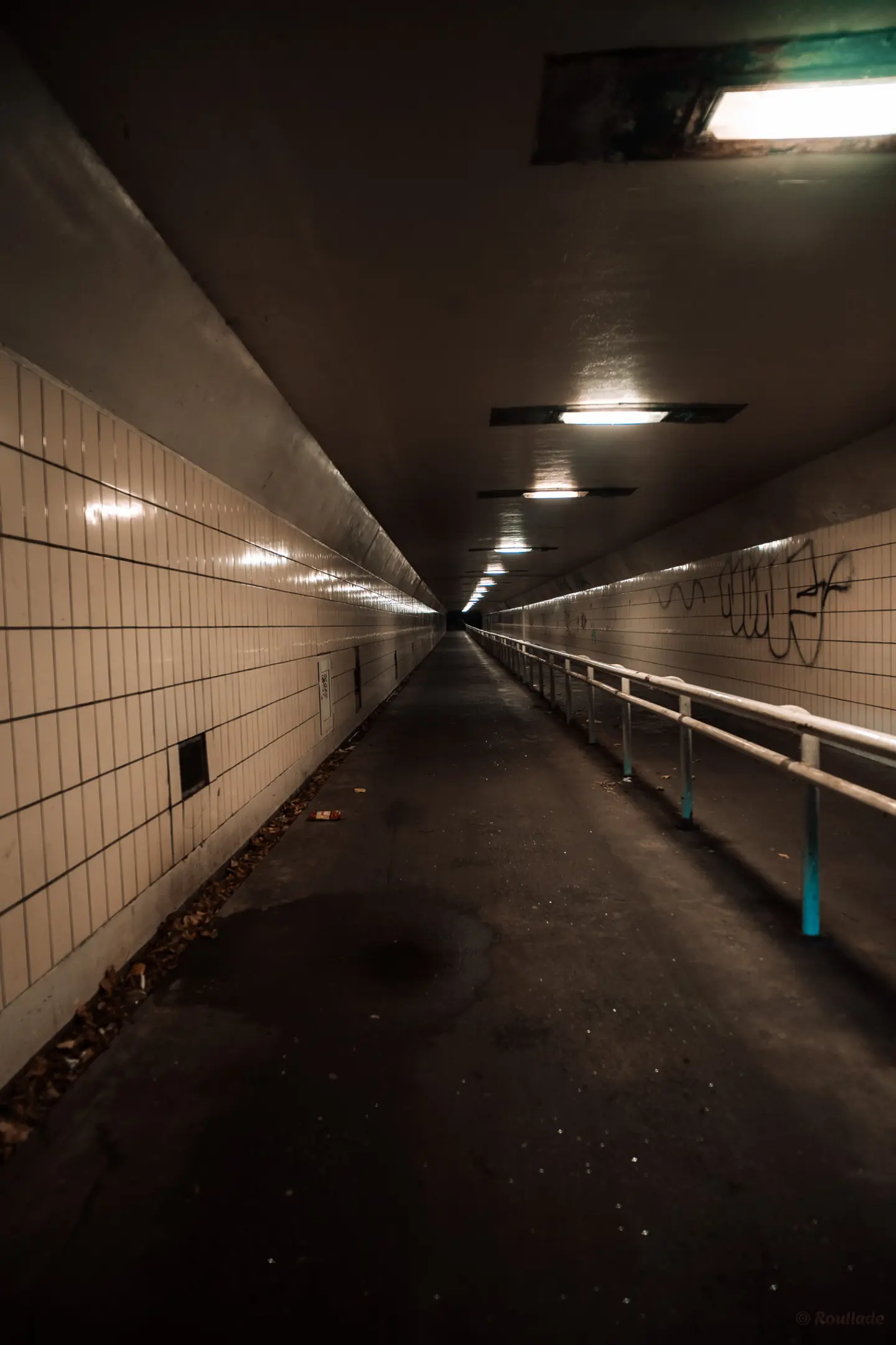 Media Fietstunnel in Rotterdam